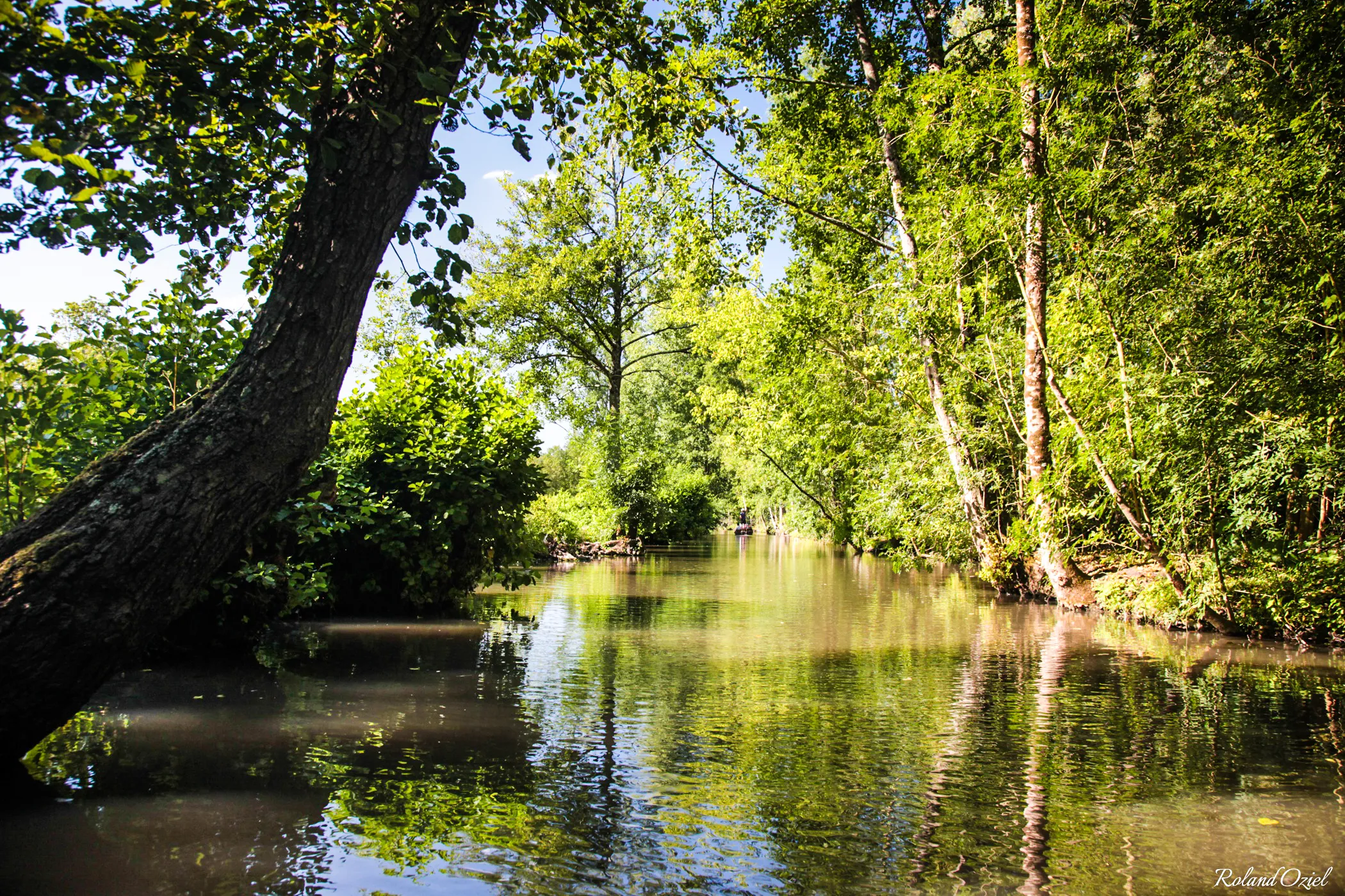 La venise verte dans le marais poitevin est une activité à faire aux alentour du camping